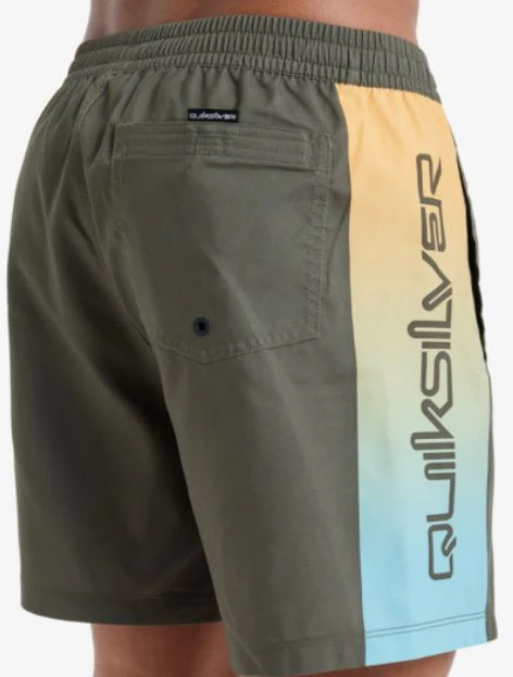 BAÑADOR QUIKSILVER EVERYDAY HOMBRE - Image 2